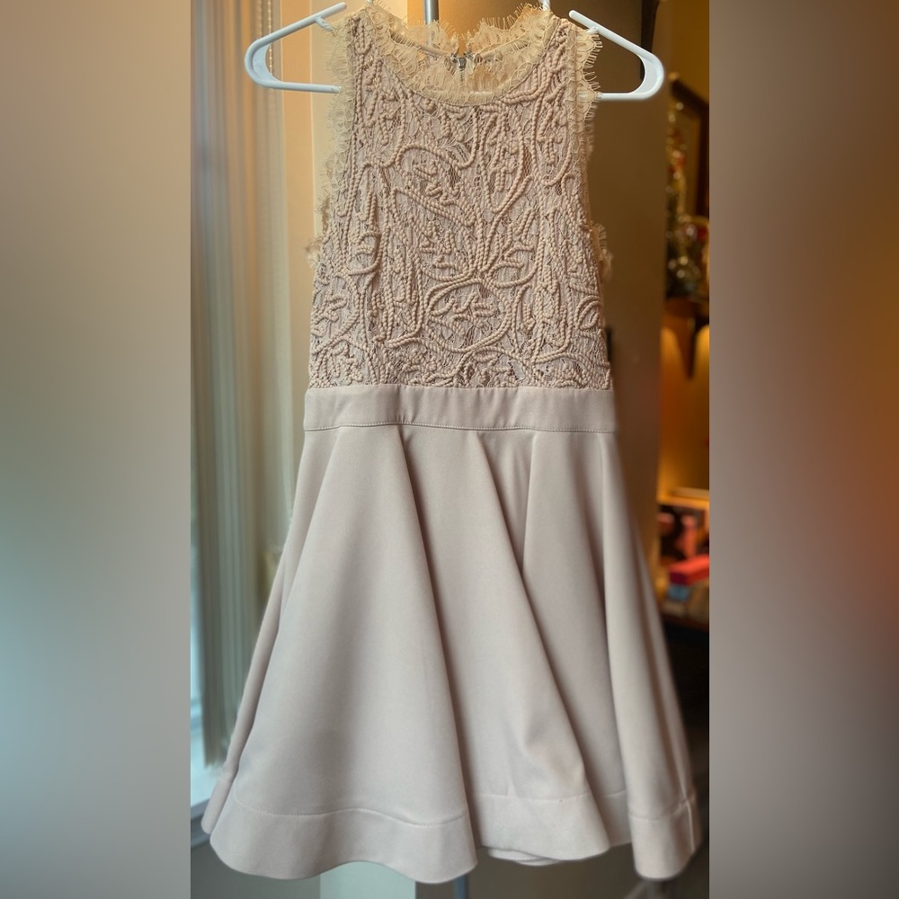 Mini Powder Pink Embroidered Lace Honey Dress in S